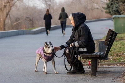 Волгоград ждет потепление и магнитная буря
