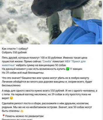 Источник: АНО «Симба» / vk.com