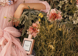 Сотканный из цветов: аромат Gucci Bloom