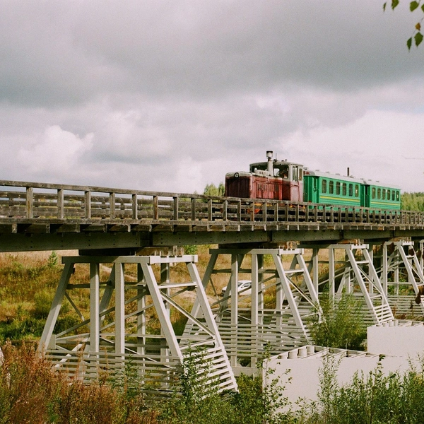 Источник: Svetlov Artem, CC0, via Wikimedia Commons