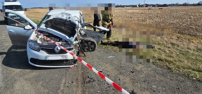 Водитель Renault скончался на месте | Источник: Госавтоинспекция Челябинской области