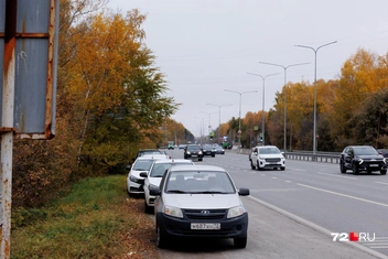 Источник: Ирина Шарова / 72.RU