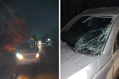 Двое пешеходов погибли в ДТП с иномаркой в Омске