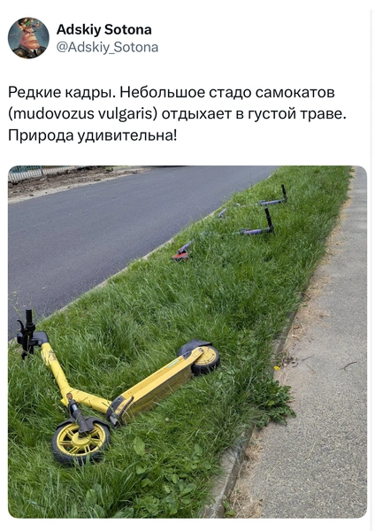 Источник: X (Twitter)