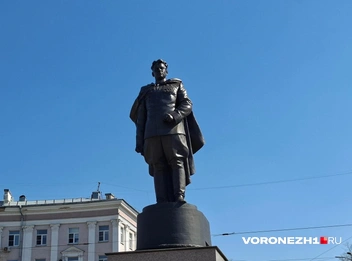 Источник: Алёна Воропаева / Voronezh1.ru