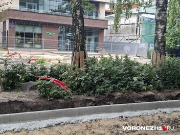 Источник: Алёна Воропаева / Voronezh1.ru