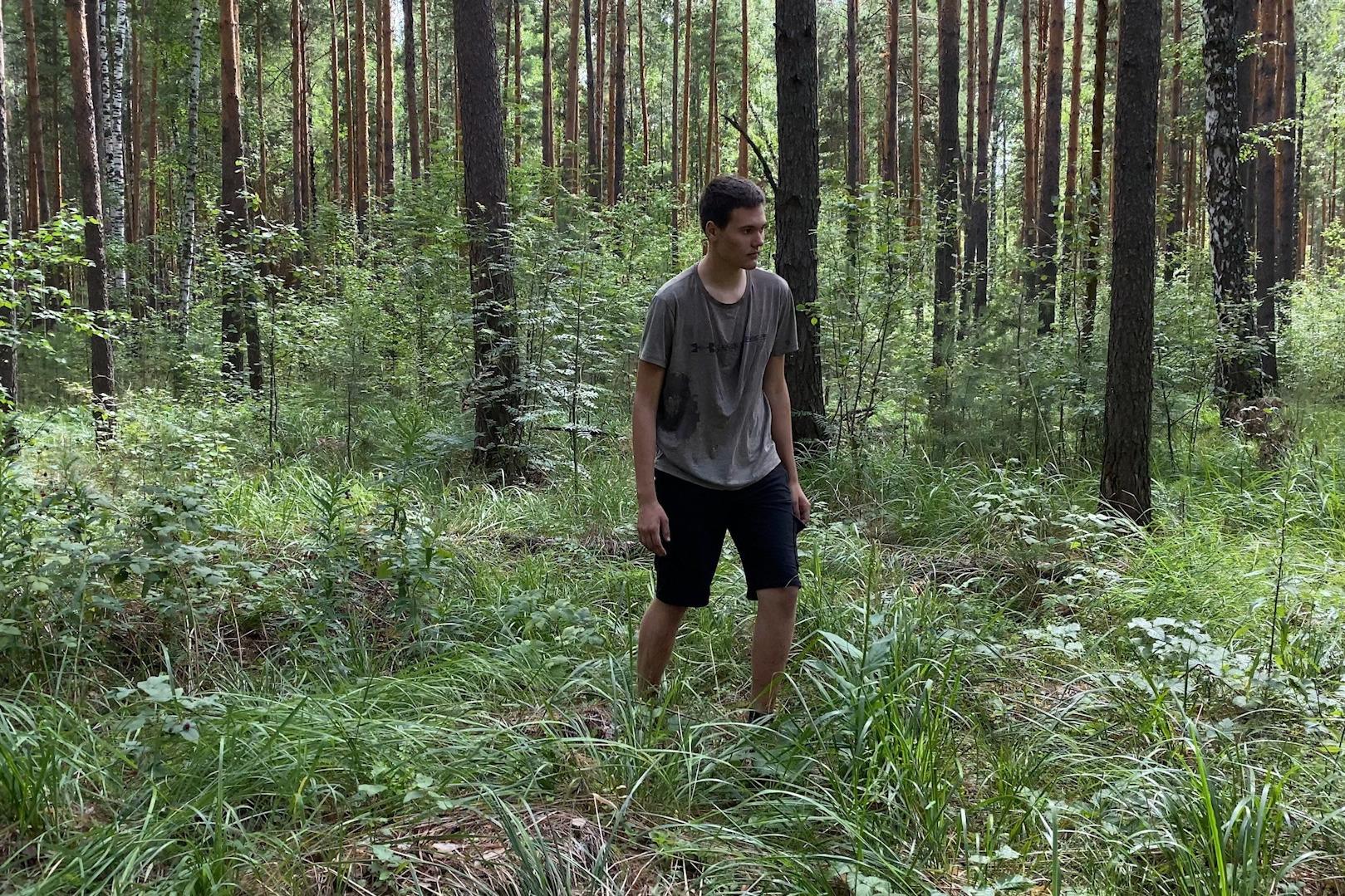 Заблудилась в лесу летом. Человек заблудился в лесу. Человек потерялся в лесу. Мальчик заблудился в лесу. Мальчик потерялся в лесу.