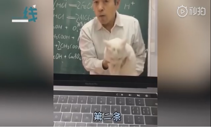 Китайский учитель химии провел урок при помощи кота (видео)
