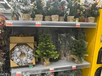 Обычно такие варианты подходят для того, чтобы поставить на полку или стол | Источник: Дарья Гранкина / 26.RU