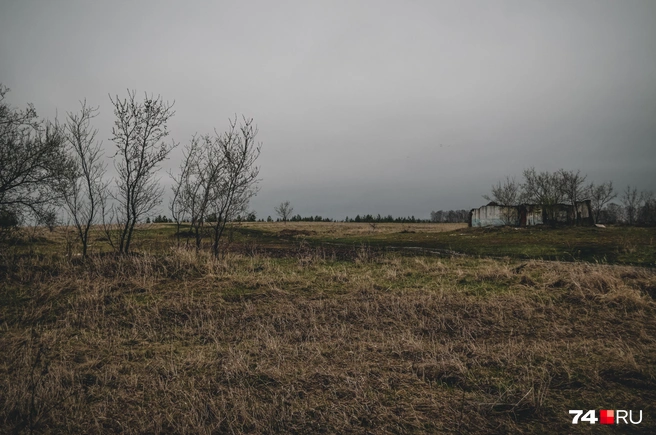 Пейзажи за окном совсем не жизнерадостные. Погода, конечно, влияет, но солнце тут вряд ли исправит ситуацию | Источник: Виталий Гущинский