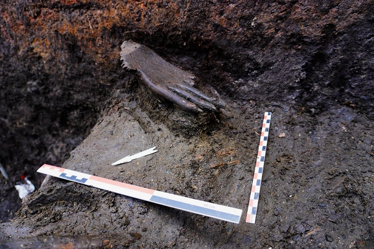 Деревянную ладонь возрастом 6000 лет нашли археологи под Смоленском: фото | Источник: hermitagemuseum.org