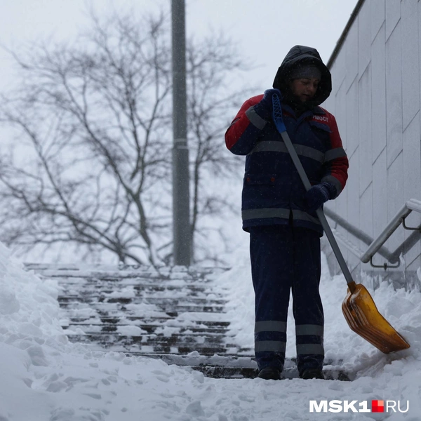 Источник: Дмитрий Толстошеев / MSK1.RU