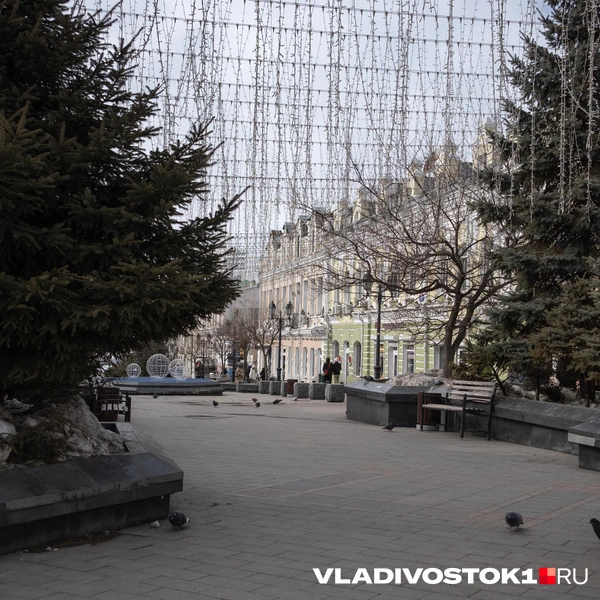 Источник: Елена Буйвол / VLADIVOSTOK1.RU