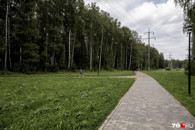 Дорога из плитки ведет к спускам на набережную  | Источник: Александр Куренной / 76.RU