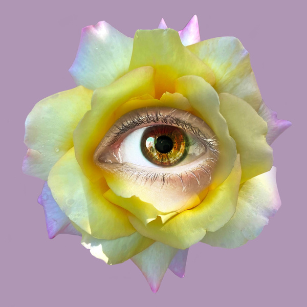 Почему белки глаз желтеют: причины и меры профилактики