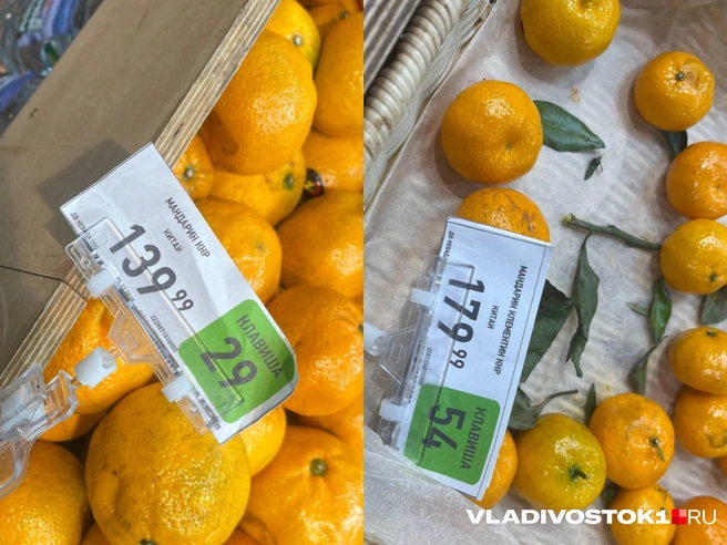 Источник: Елена Буйвол / VLADIVOSTOK1.RU