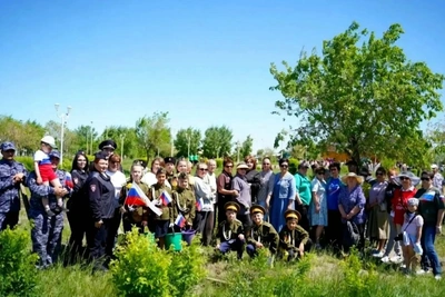 В Приаргунске высадили берёзы в память о героях СВО