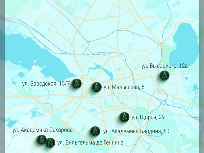 Планируете ли вы приобрести елку к Новому году? | Источник: Филипп Сапегин / E1.RU