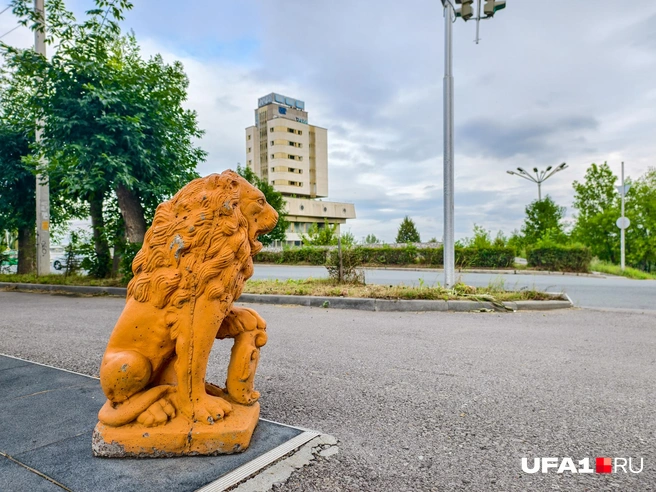 Лев в шоке от планов городских властей | Источник: Булат Салихов / UFA1.RU