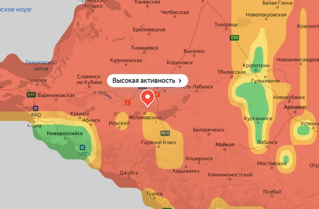 Почти на всей территории региона ожидается высокая активность пыльцы | Источник: yandex.ru