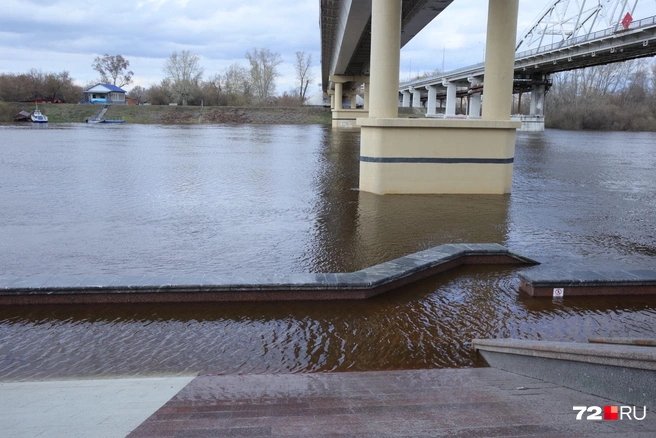 Половина опоры моста&nbsp;— в воде. При опасном уровне ее скрывает полностью | Источник: Ирина Шарова / 72.RU 