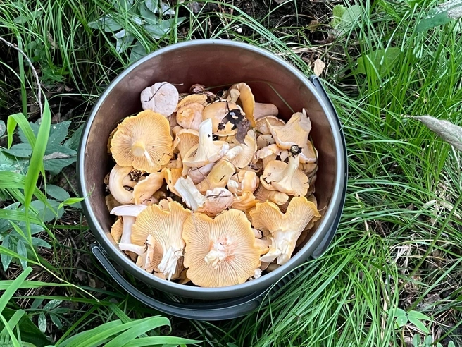 Емельяновский район | Источник: Егор Березин / VK