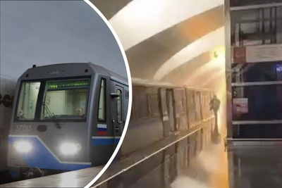 Старые поезда «Русич» могли вызвать ЧП в московском метро