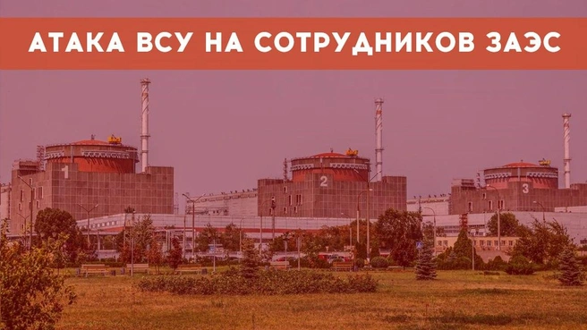Два сотрудника ЗАЭС пострадали от БПЛА, когда ехали чинить сети после предыдущей атаки | Источник: телеграм-канал ЗАЭС