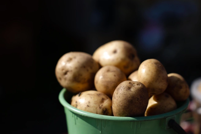 Минсельхоз не ожидает «перекоса» цен на картофель в России | Источник: Евгений Софийчук / NGS55.RU
