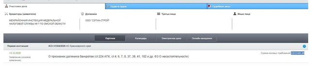 Судебная карточка | Источник: kad.arbitr.ru
