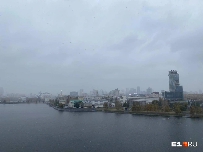 Источник: Анастасия Баранова / E1.RU