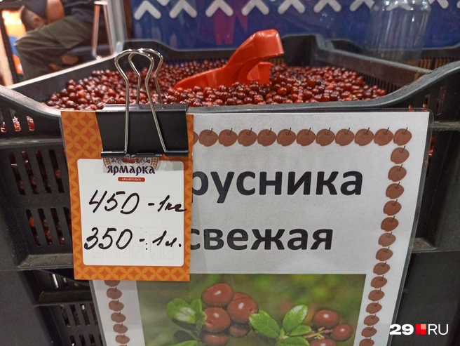 Источник: Иван Митюшев / 29.RU
