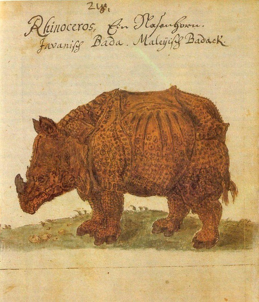Как в старину художники изображали животных, которых никогда не видели (25 странных существ)