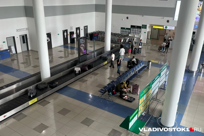 Это не первый подобный инцидент | Источник: Елена Буйвол / VLADIVOSTOK1.RU
