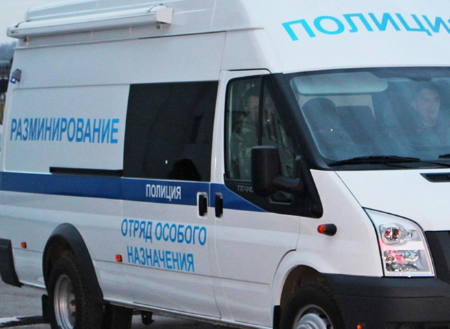 Учительница из Пермского края обнаружила взрывчатку в полене | ya62.ru