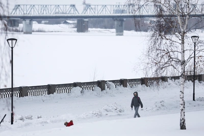 Weather service issues February temperature anomaly forecast for Novosibirsk
