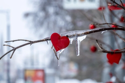 Свидания на 14 февраля: советы астролога для каждого знака