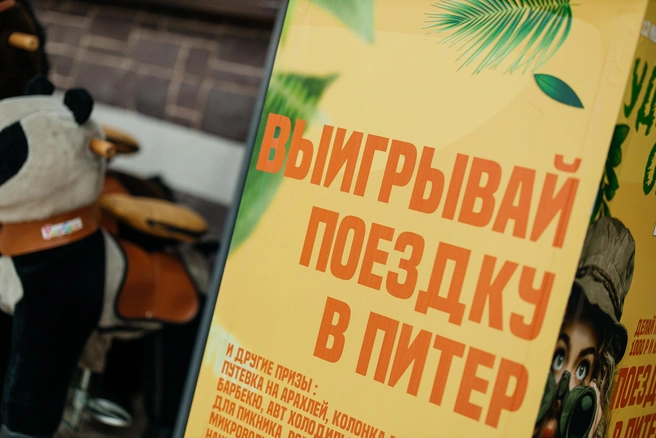 Источник: Ксения Зимина