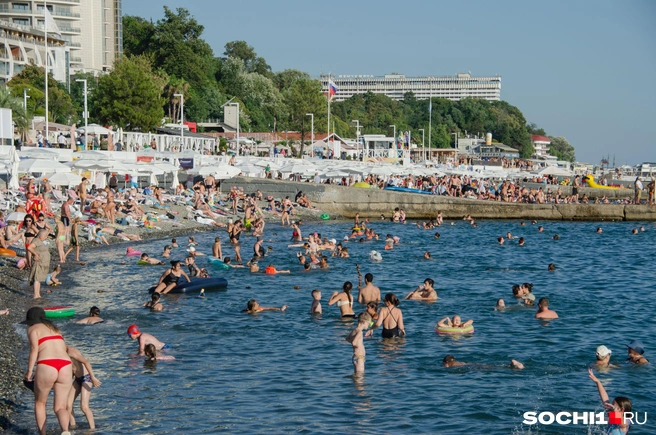 Море теплое, как суп. В нем плавают туристы. Пляж «Маяк» (17.08.2025) | Источник: Оксана Витязь / SOCHI1.RU