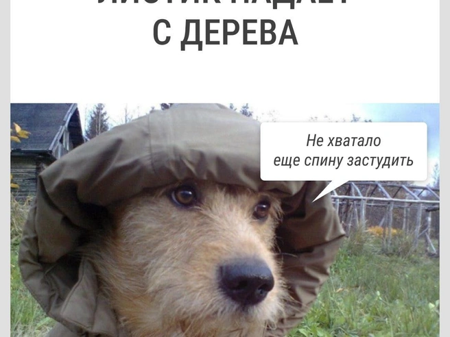 Ага, потом еще лечиться! | Источник: Городские медиа