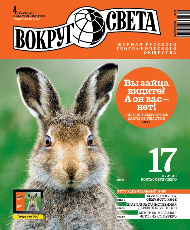 Фото №1 - Какого пола заяц, помещенный на обложке апрельского номера «Вокруг света» за 2013 год ?