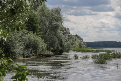 Нижегородец осужден за пьяную поездку с детьми на лодке