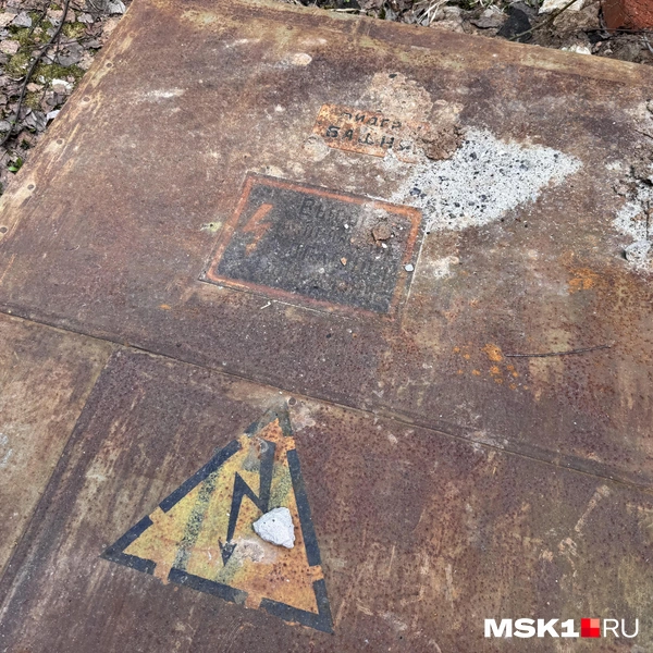 Источник: Алина Мельникова / MSK1.RU