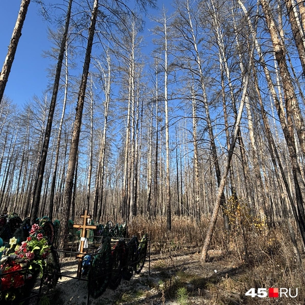 Источник: Кирилл Митин