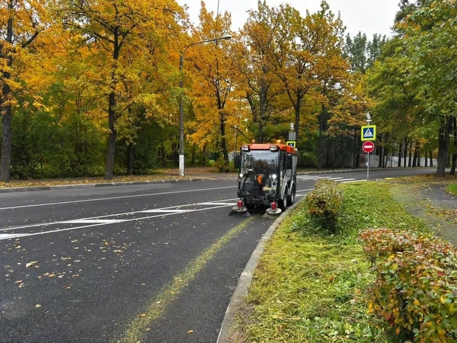 Уборка листьев, высадка деревьев и демонтаж садов-трансформеров. Как проходит месячник по благоустройству в Петербурге  | Источник: Комитет по благоустройству СПб