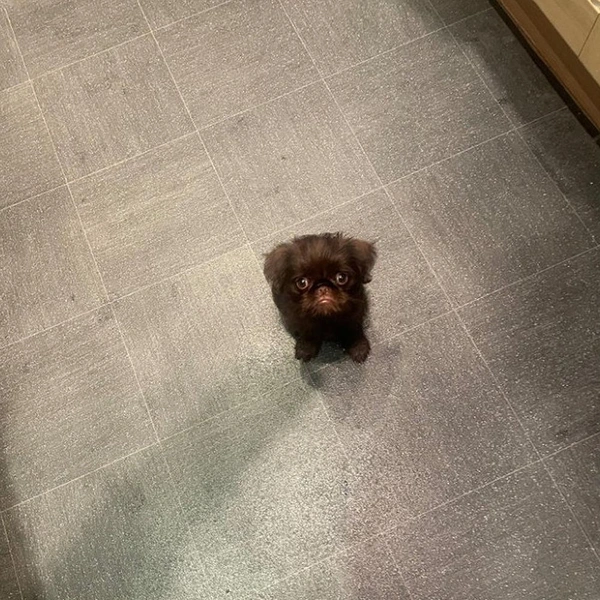 Источник: соцсети