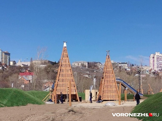 Источник: Дмитрий Волгин / Voronezh1.ru