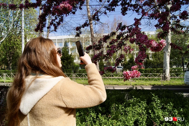 Спешите сделать красивые фотографии! | Источник: Екатерина Подымова / 93.RU