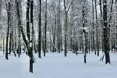 Аномальная погода в Чите в 2025 году: синоптики сообщили о рекордах