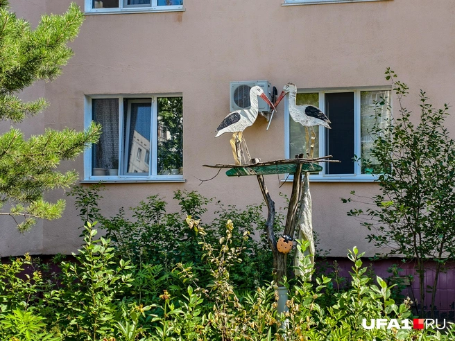 Аисты и божья коровка | Источник: Булат Салихов / UFA1.RU